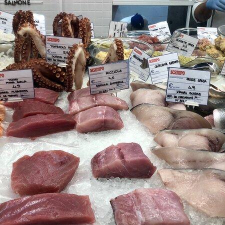 Scampo - Pescheria Moderna